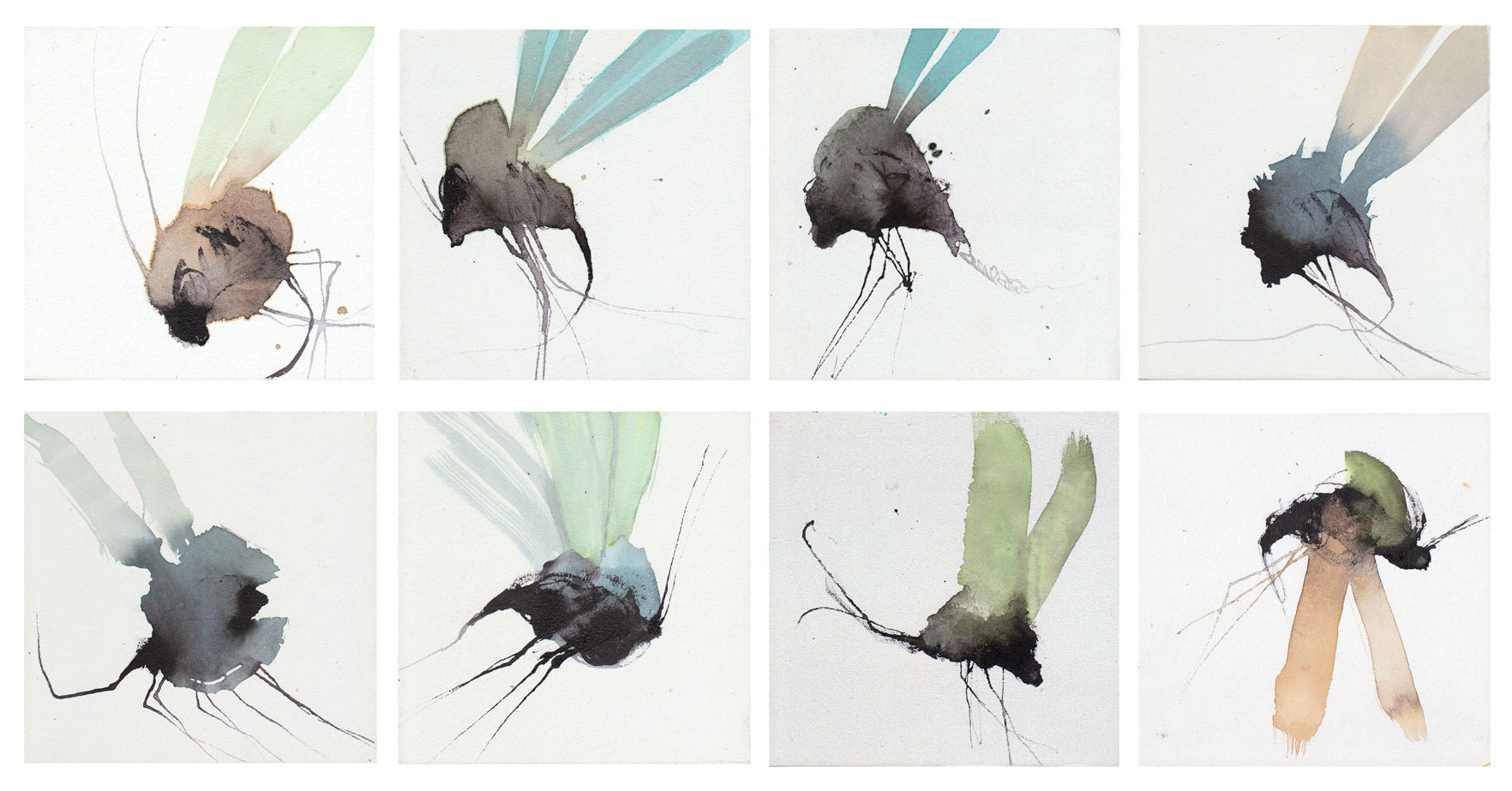 Arthropoda#serie-fly